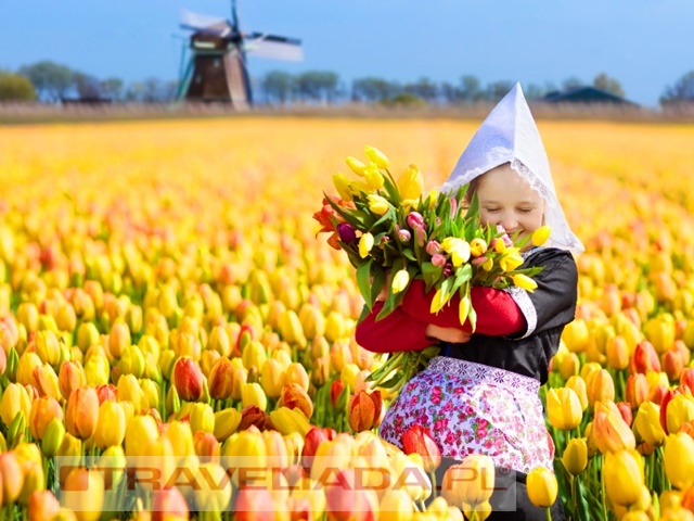 Wycieczka do Amsterdamu + Parada Kwiatów Express